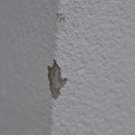 Einer der Fehler - Aussenfassade abgeplatzt Einer der Fehler - Aussenfassade abgeplatzt