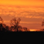 Hinterm Haus: Sonnenaufgang in Neuenhagen bei Berlin