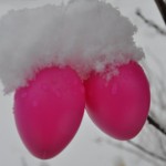 Ostern im Schnee