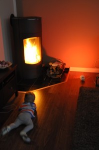 Start der Kamin-Saison 2014 – Kinderschutz notwendig? | Hausbau Blog