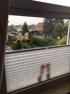 Blickdichter Sichtschutz ohne Bohren für bodentiefe Fenster | Hausbau Blog